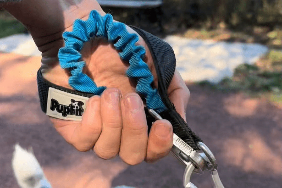 PupFit utility bungee — doubles as a multifunctional dog collar and leash handle