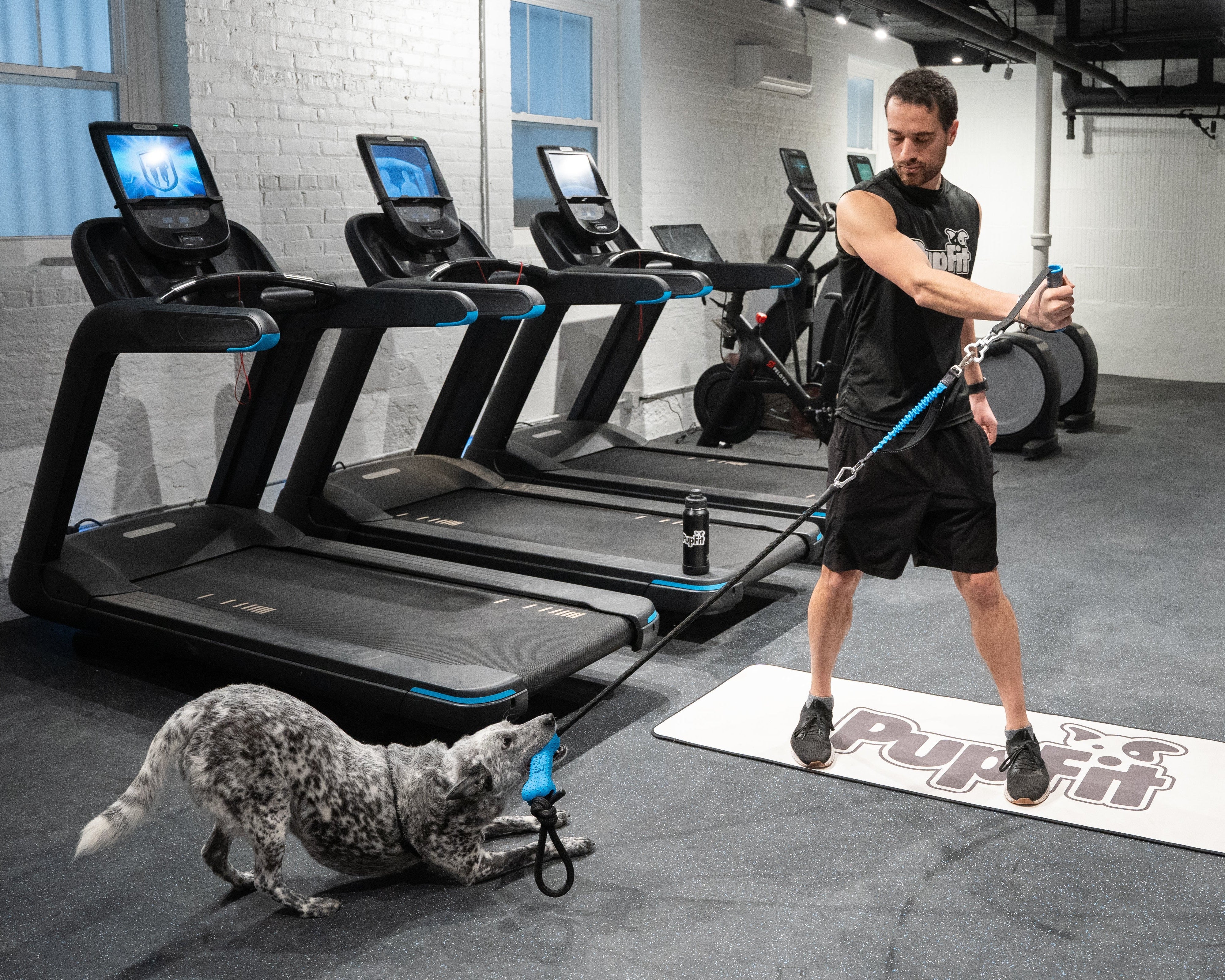 Man exercising with a dog and a pupfit tug toy in a gym setting