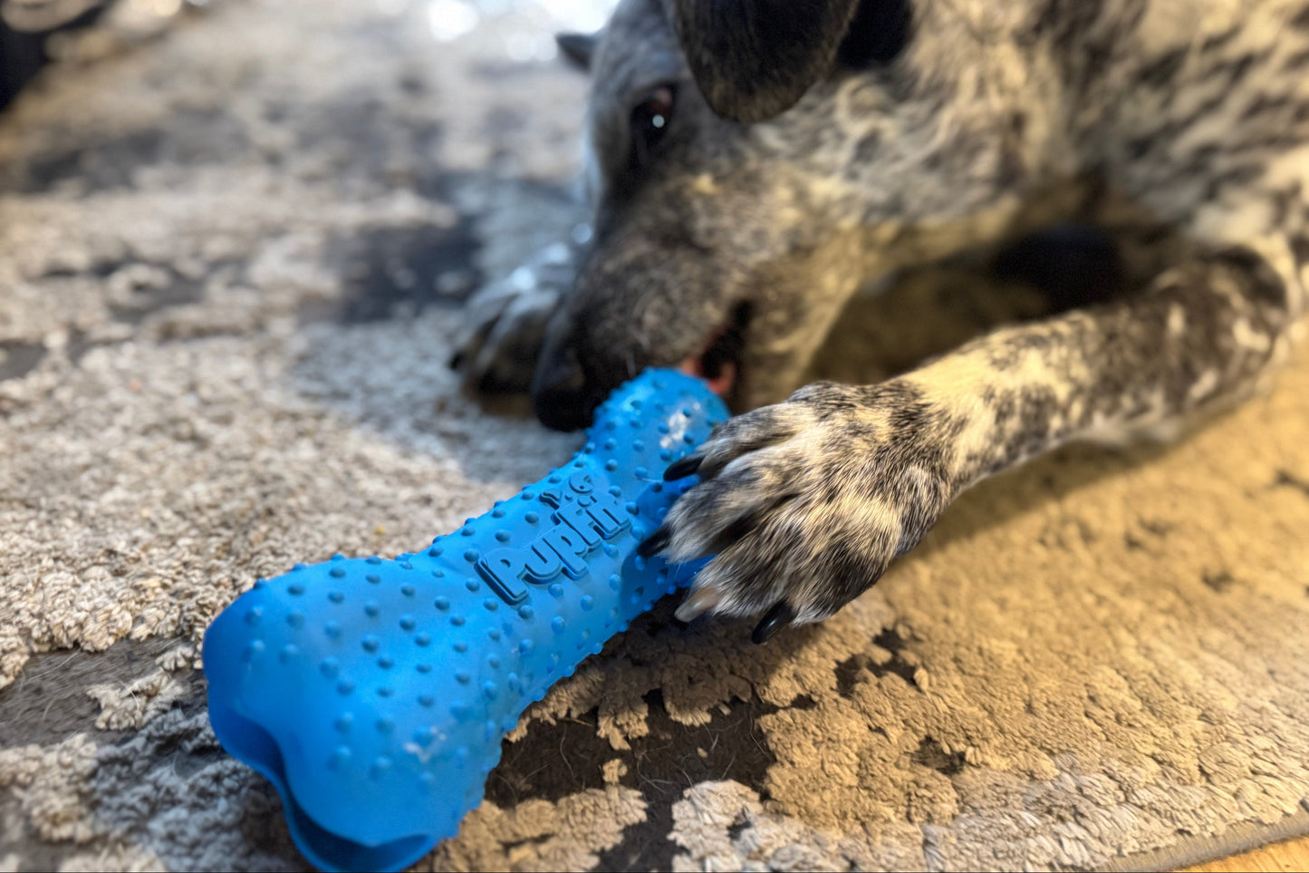 PupBone