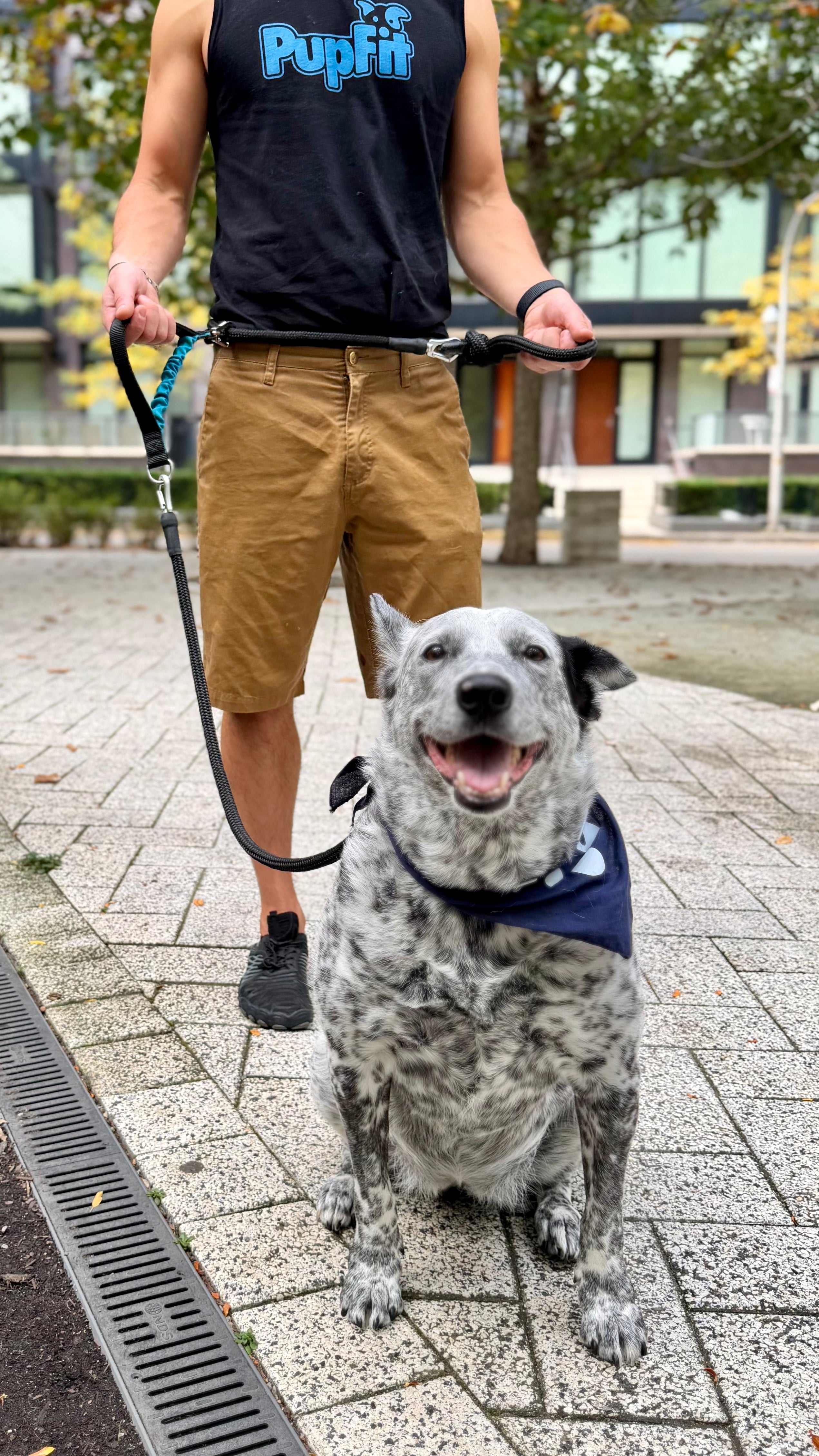 A person wearing a black 'Pupfit' tank top and tan shorts walks a gray and white spotted dog on a leash outdoors on a paved walkway. The dog is wearing a navy blue bandana with white lettering.