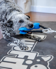 PupBone