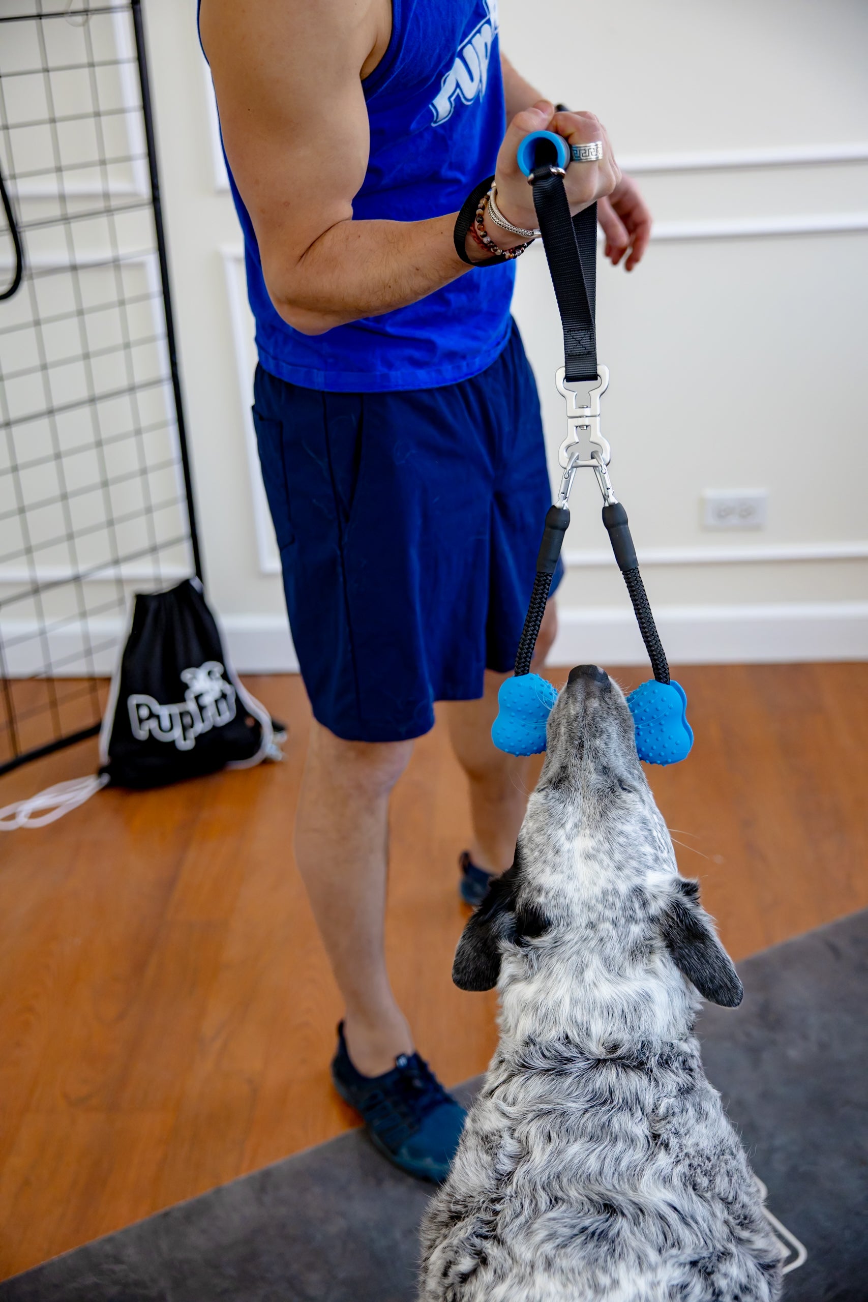Person in blue athletic wear holding a PupFit tug toy with a dog biting it, looking up, in an indoor setting.