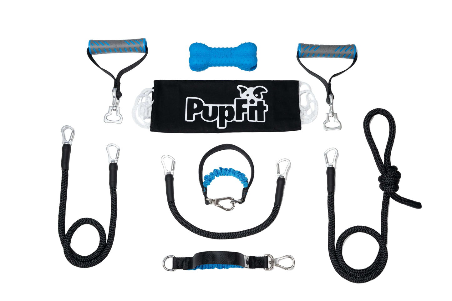 Collection of dog training equipment including leashes, resistance bands, and a head collar on a white background.
