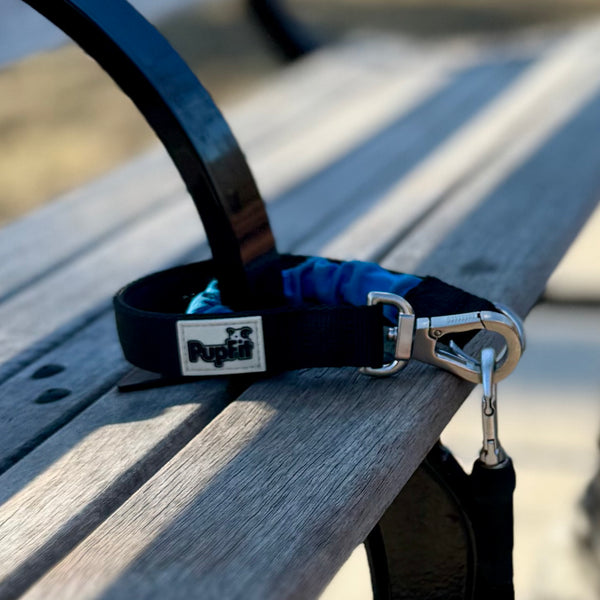 Dog leash with a PupFit branded leash handle attached to a park bench