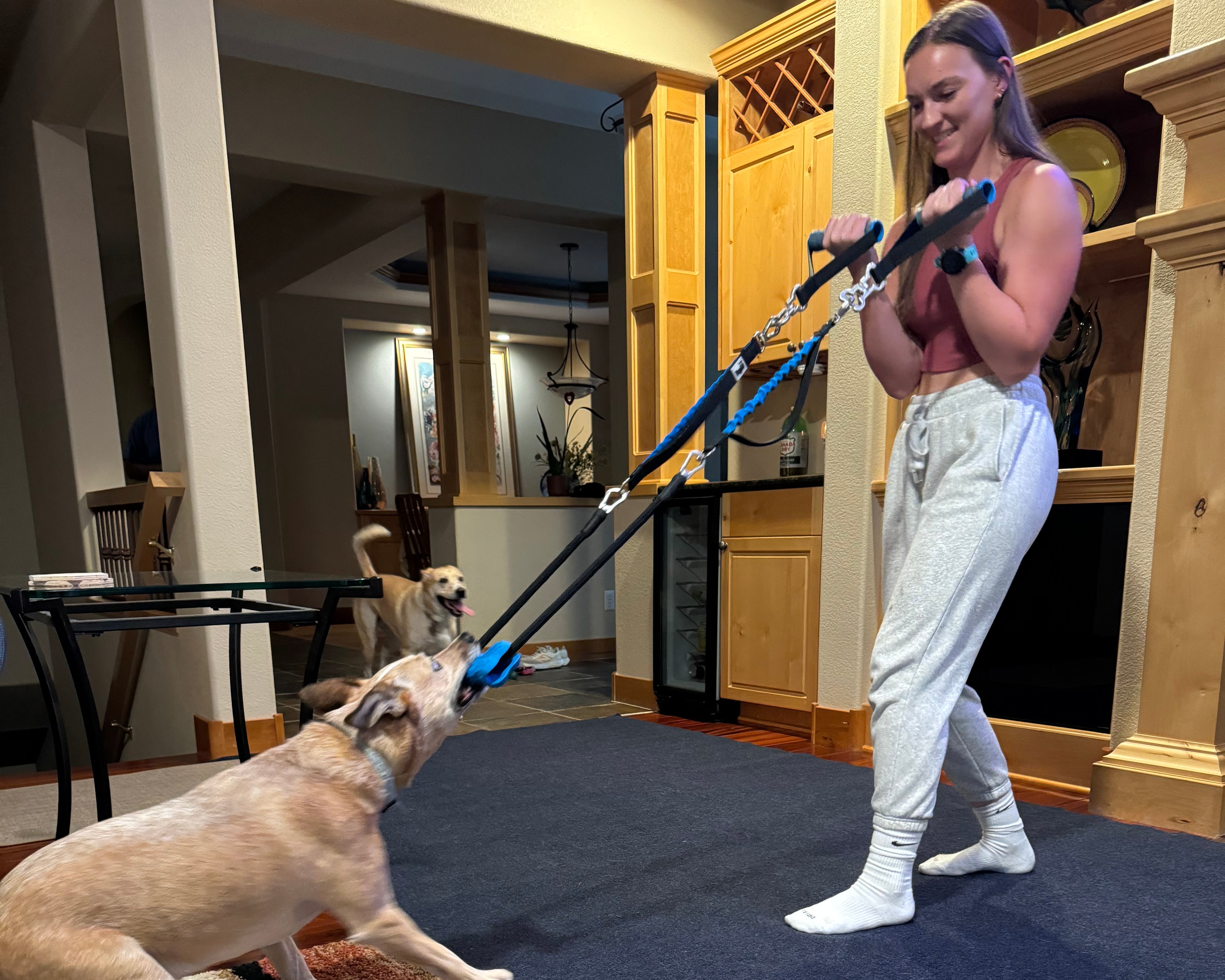 Girl playing tug of war with a PupFit tug toy in her living room