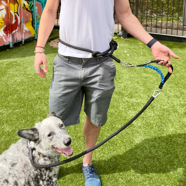 Person walking a dog on a leash in an outdoor setting with grass and colorful wall art.