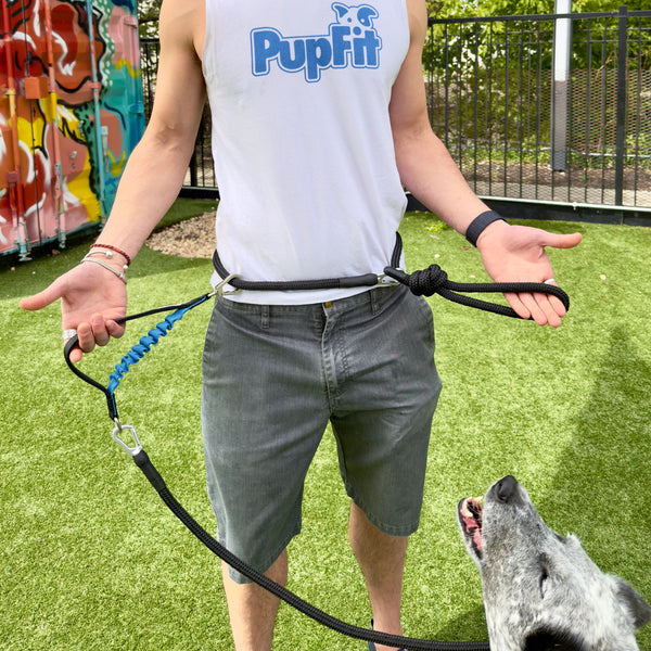 Person holding a dog leash with a dog at a park, wearing a 'PupFit' shirt.