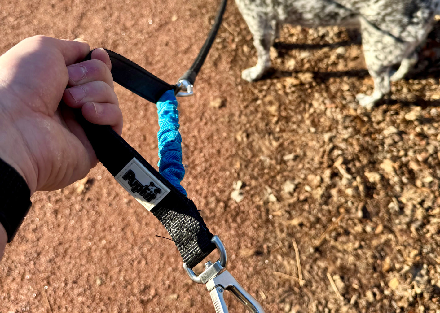 PupFit accessory collection — modular leash and handle add-ons