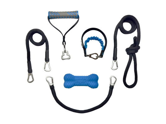 PupFit alpha pack — complete dog fitness kit with leash, bone, handles, and bag