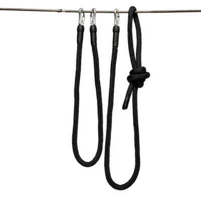 2 Leashes