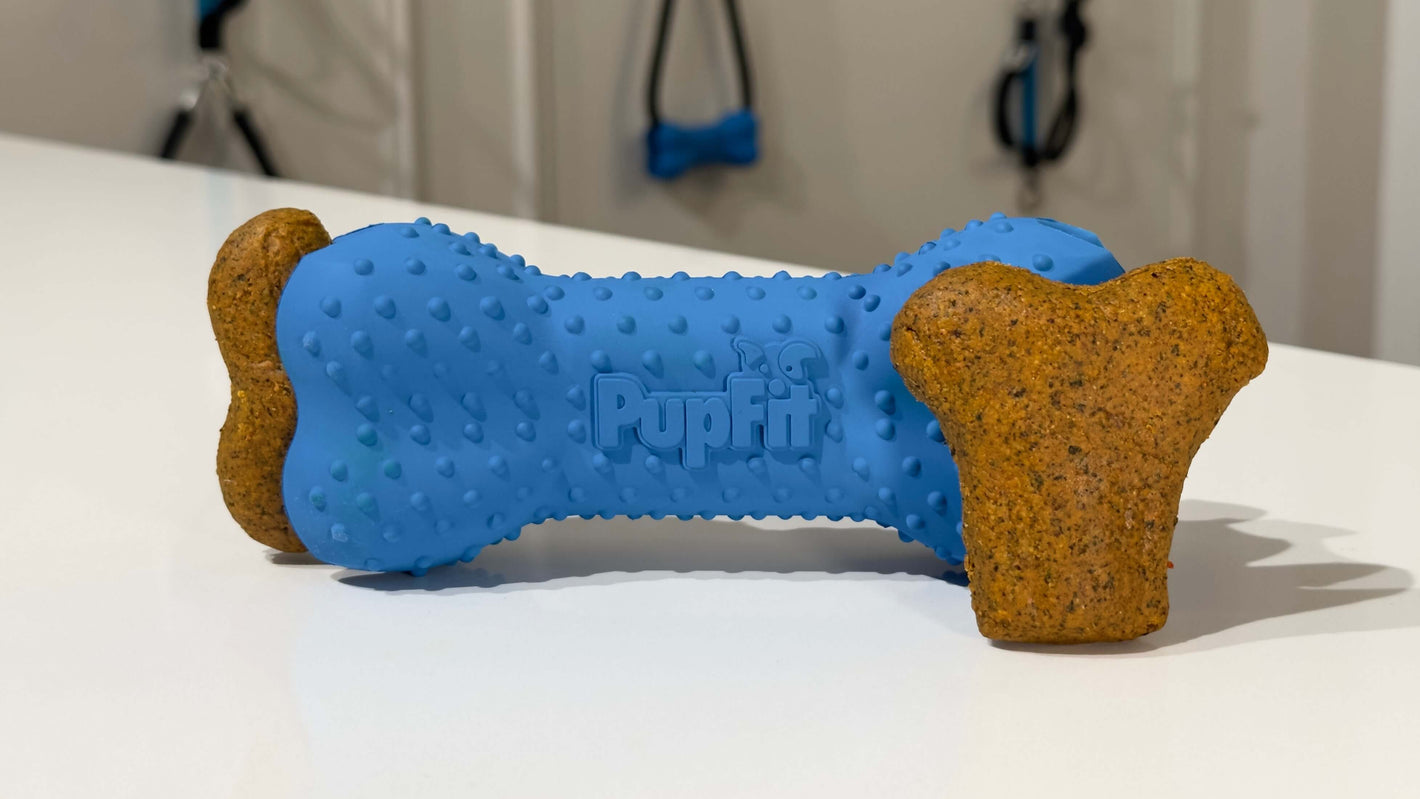 PupFit removable rubber bone loaded with treats — chew toy, fetch toy, and tug toy in one