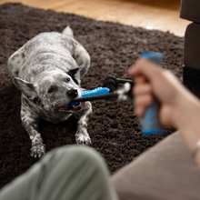 PupFit Classic — Bone + Play Kit ★