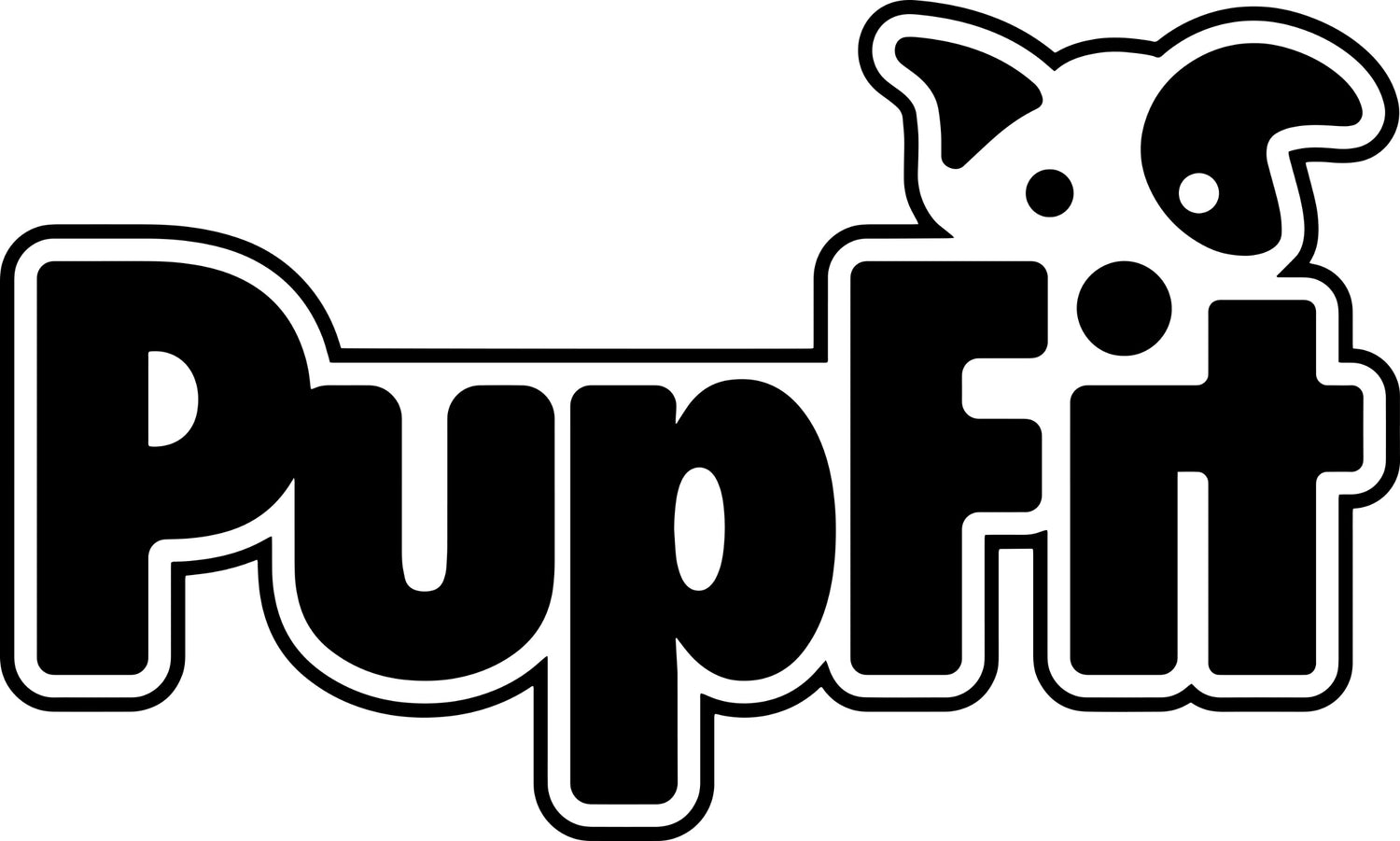 PupFit complete system laid out — tug toy, leashes, handles, bone, and accessories, Chicago