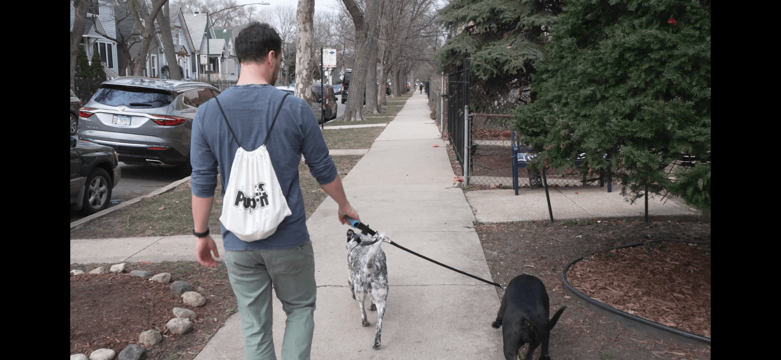 A dog owner walks with PupFits multi-dog leash with two dogs down a sidewalk wearing a PupFit carrying bag in Chicago