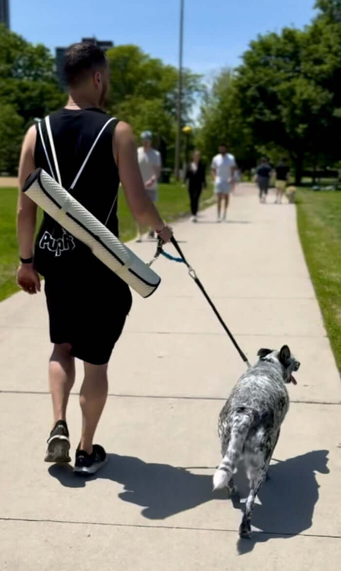 PupFit multi-length leash system — adjustable leash handles for training and play