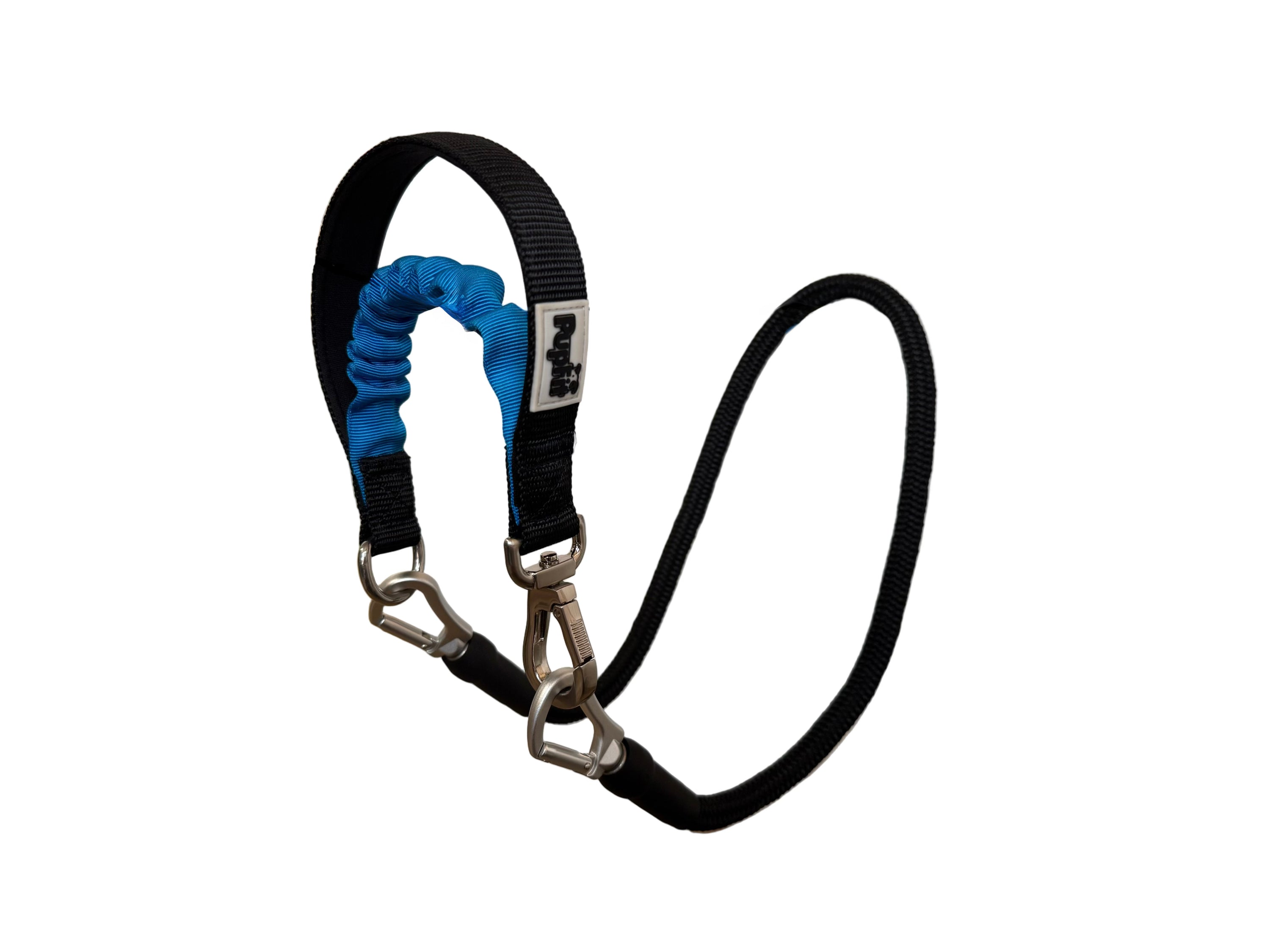 PupFit adjustable no-pull harness on dog — fits medium-sized breeds, Chicago