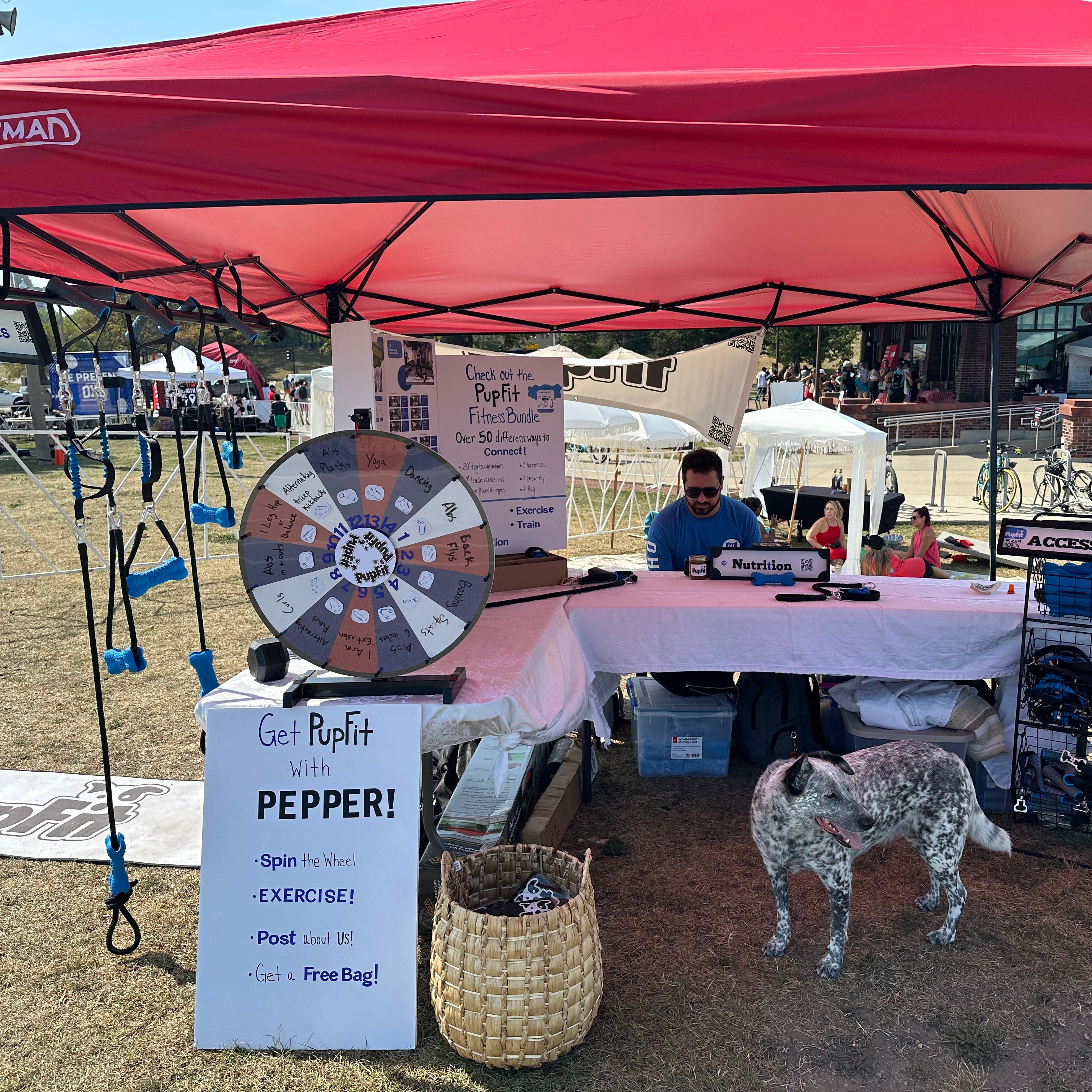 Outdoor event with a red canopy, table, and various items including a dog at a PupFit booth.