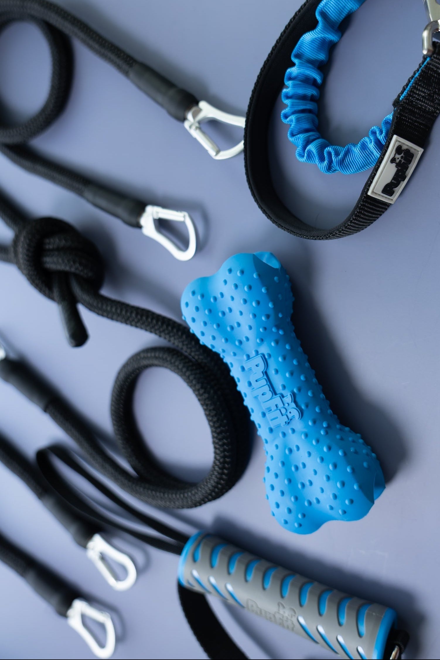 PupFit Dog training equipment including a blue dog toy, leash, and handle on a gray background