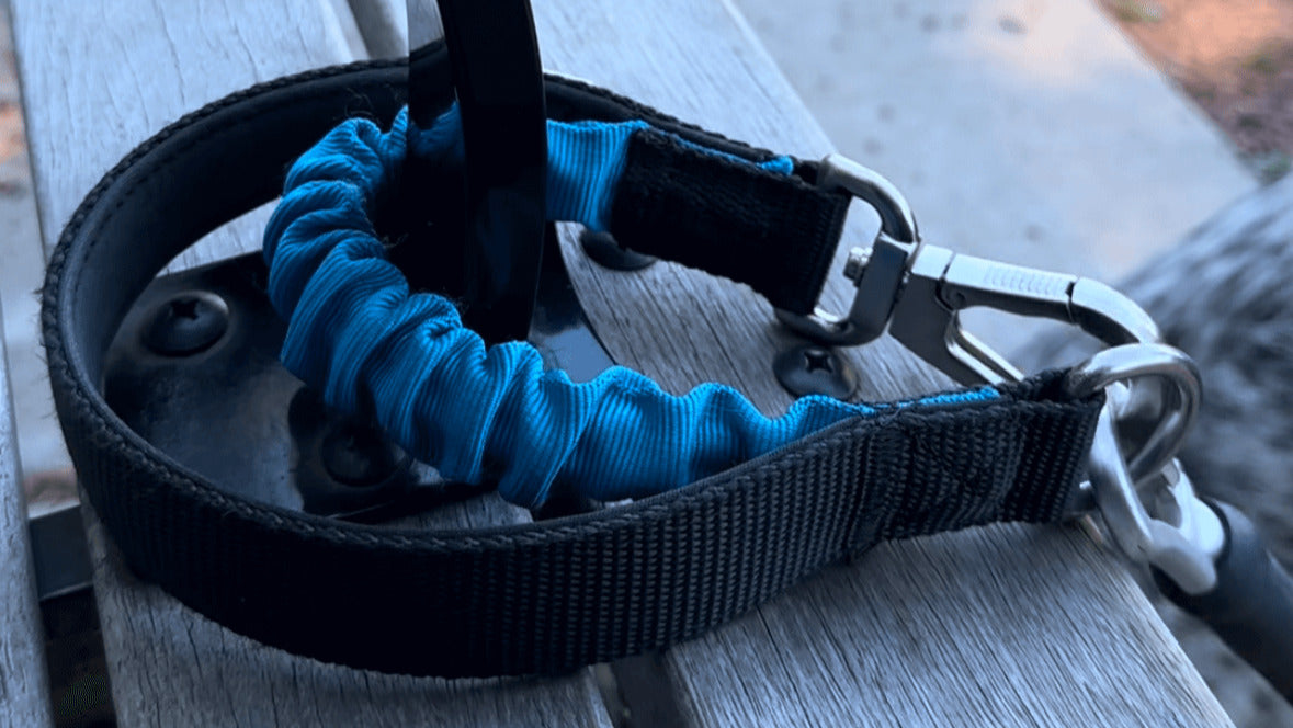 PupFit utility bungee easy-lock feature — elastic leash handle that locks for hands-free use