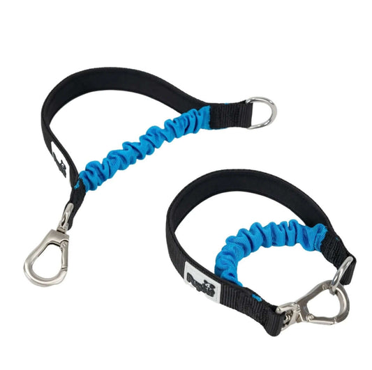 PupFit bungee collar — doubles as a multifunctional dog collar and leash handle