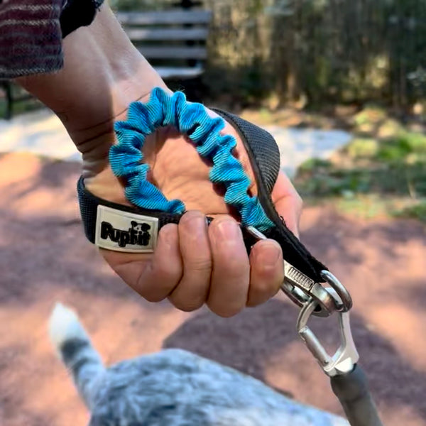 Hand holding a black PupFit dog leash with a blue handle, outdoors.